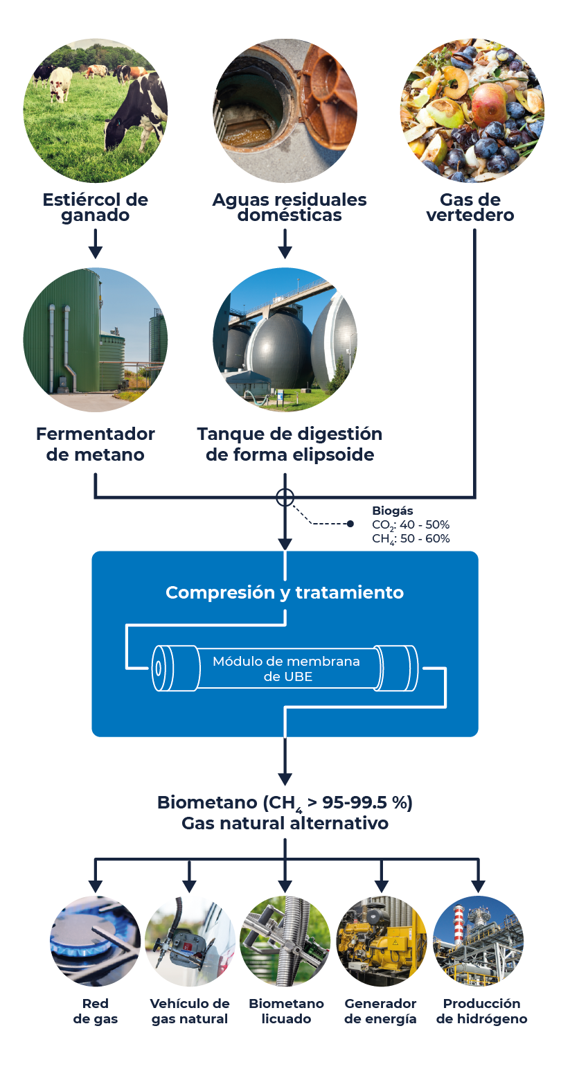 Infographic explaining the biomethane treatment through the Gas Separation Membrane Module